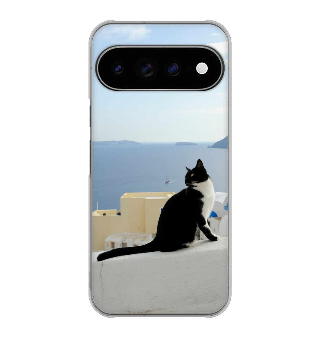 Google Pixel 11 Pro XL VA805 ネコと地中海 ハードケース 背面印刷