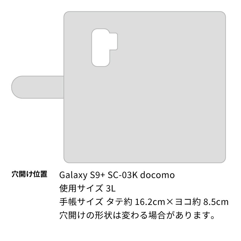Galaxy S9+ SC-03K docomo スマホショルダー 【 手帳型 Simple 名入れ 長さ調整可能ストラップ付き 】 耐衝撃