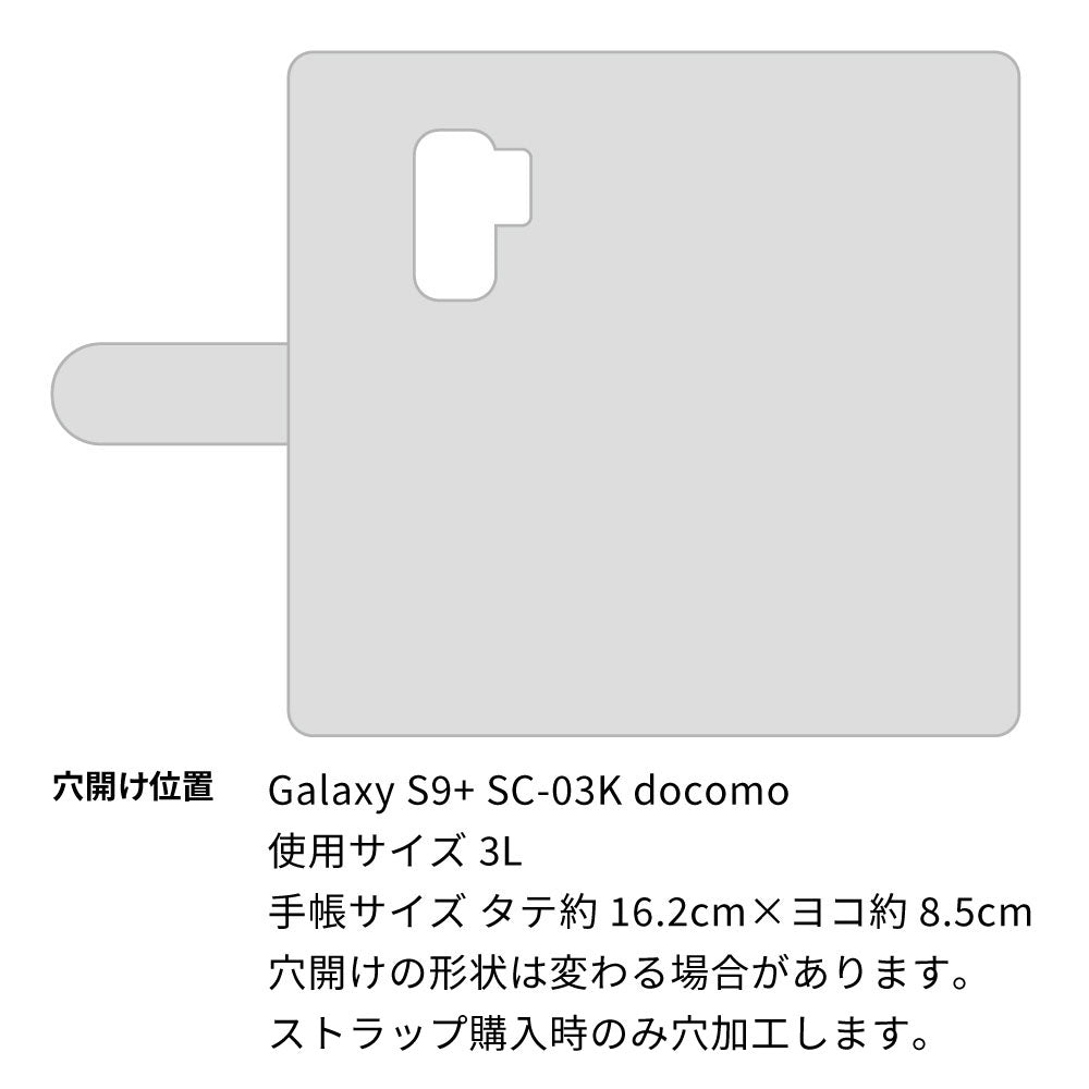 Galaxy S9+ SC-03K docomo ステンドグラス＆イタリアンレザー 手帳型ケース 耐衝撃
