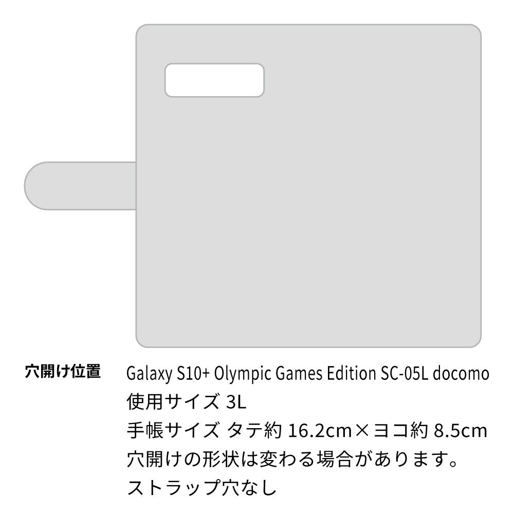 Galaxy S10+ Olympic Games Edition SC-05L docomo スマホショルダー 手帳型 縦向き くすみカラー スタンド機能付