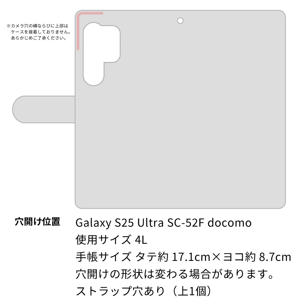 Galaxy S25 Ultra SC-52F docomo 高画質仕上げ プリント手帳型ケース ( 薄型スリム ) 【185 時を刻む針】