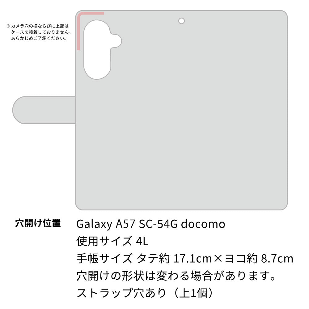 Galaxy A57 SC-54G docomo 高画質仕上げ プリント手帳型ケース ( 通常型 ) 【1211 桜とパープルの風】