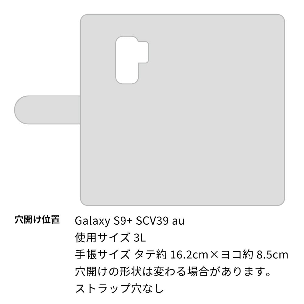 Galaxy S9+ SCV39 au イタリアンレザー 手帳型ケース（本革・KOALA） 耐衝撃