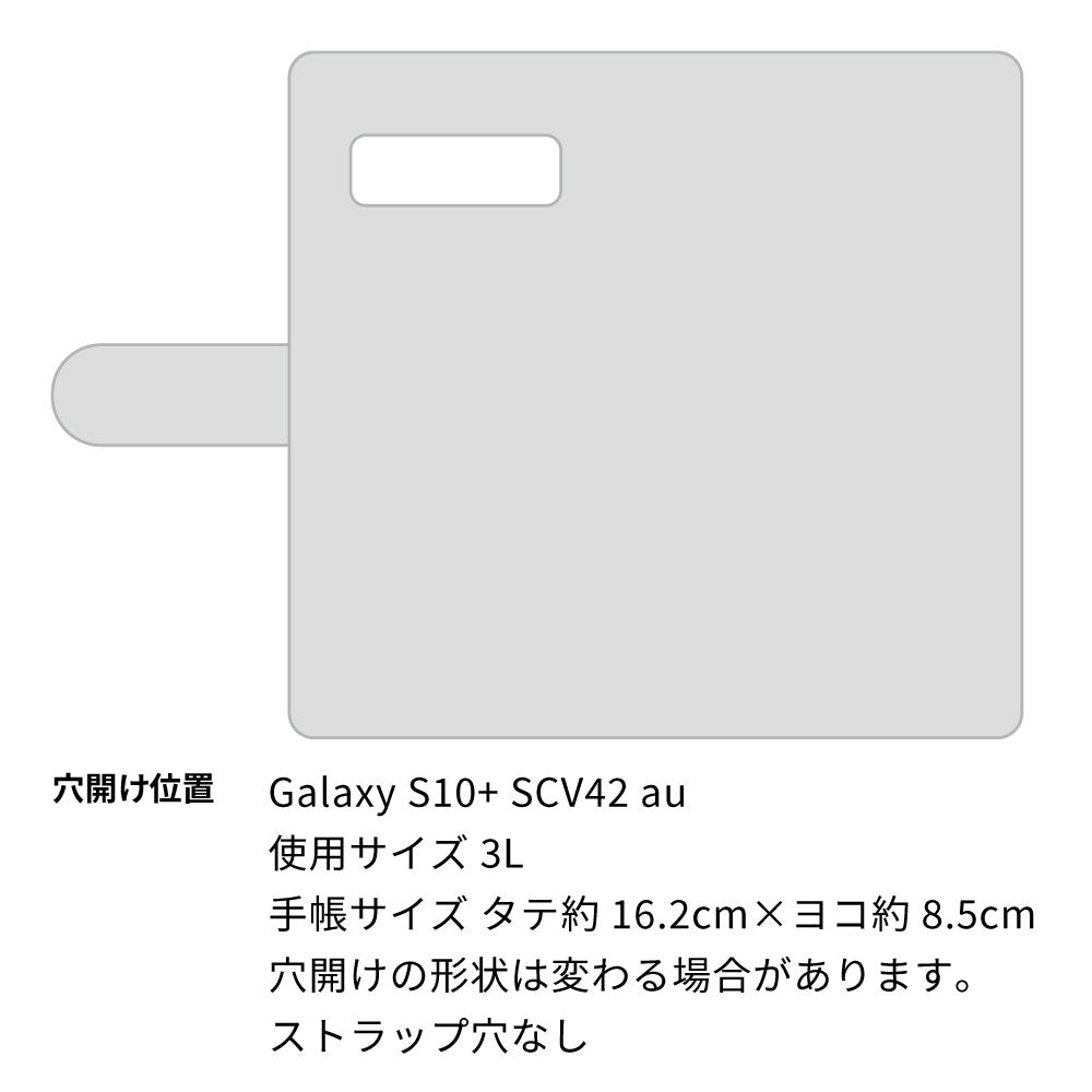 Galaxy S10+ SCV42 au イタリアンレザー 手帳型ケース（本革・KOALA） 耐衝撃