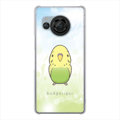 AQUOS R8 SH-52D docomo セキセイインコ ハードケース 背面印刷