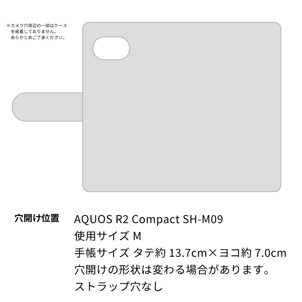 AQUOS R2 compact SH-M09 カーボン柄レザー 手帳型ケース 耐衝撃