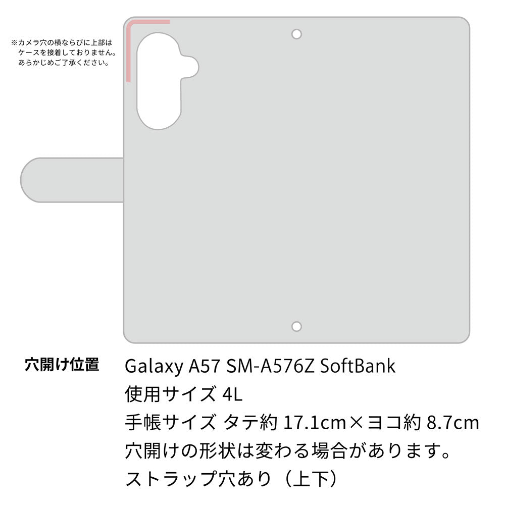 Galaxy A57 SM-A576Z SoftBank サイレントキャット プリント手帳型ケース 耐衝撃