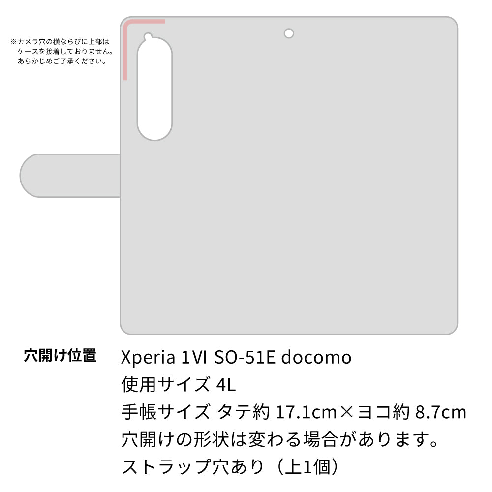 Xperia 1 VI SO-51E docomo 高画質仕上げ プリント手帳型ケース ( 薄型スリム ) 【YB856 リボンエメラルド】