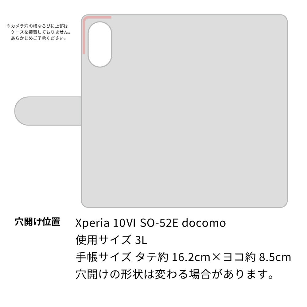 Xperia 10 VI SO-52E docomo スマホショルダー 【 手帳型 Simple 名入れ 長さ調整可能ストラップ付き 】 耐衝撃
