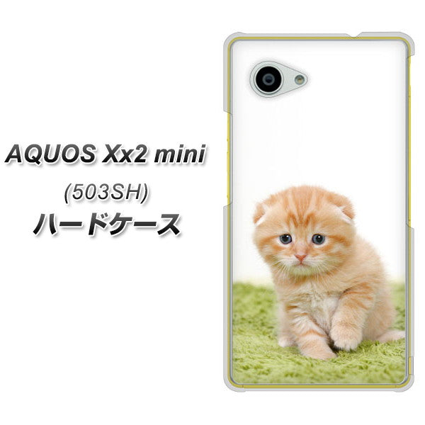 AQUOS Xx2 mini 503SH SoftBank VA802 ネコこっそり ハードケース 背面印刷