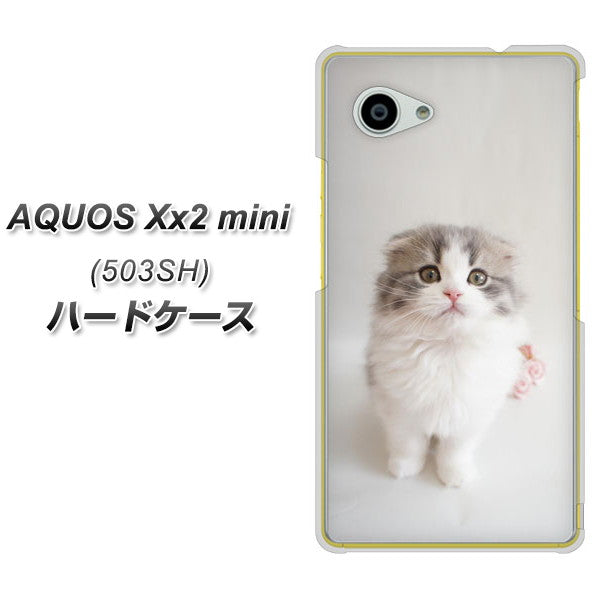 AQUOS Xx2 mini 503SH SoftBank VA803 まっていますネコ ハードケース 背面印刷