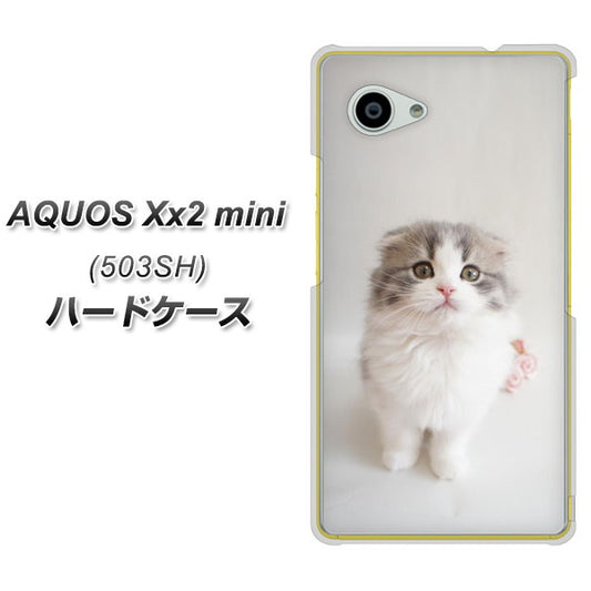 AQUOS Xx2 mini 503SH SoftBank VA803 まっていますネコ ハードケース 背面印刷
