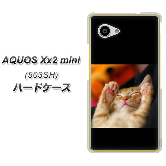 AQUOS Xx2 mini 503SH SoftBank VA804 爆睡するネコ ハードケース 背面印刷
