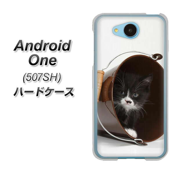 507SH Android One Y!mobile VA800 ネコとバケツ ハードケース 背面印刷