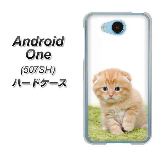 507SH Android One Y!mobile VA802 ネコこっそり ハードケース 背面印刷