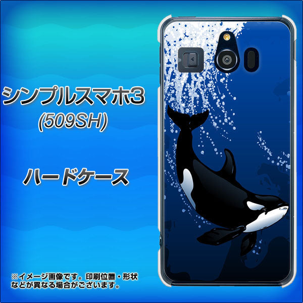 シンプルスマホ3 509SH SoftBank 423 シャチ ハードケース 背面印刷
