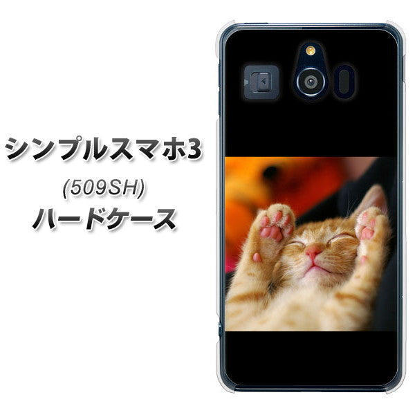 シンプルスマホ3 509SH SoftBank VA804 爆睡するネコ ハードケース 背面印刷