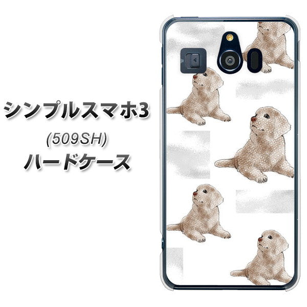 シンプルスマホ3 509SH SoftBank YD823 ラブラドールレトリバー04 ハードケース 背面印刷