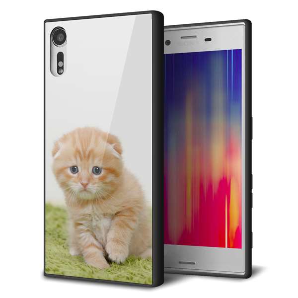 Xperia XZs 602SO SoftBank 強化ガラス＆TPUスマホケース ガラプリ【VA802 ネコこっそり】