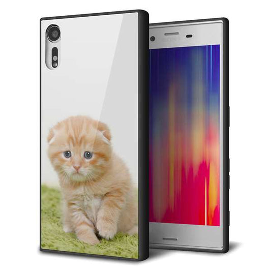 Xperia XZs 602SO SoftBank 強化ガラス＆TPUスマホケース ガラプリ【VA802 ネコこっそり】