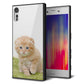 Xperia XZs 602SO SoftBank 強化ガラス＆TPUスマホケース ガラプリ【VA802 ネコこっそり】