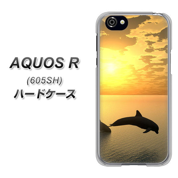AQUOS R 605SH SoftBank VA845 夕暮れのドルフィン ハードケース 背面印刷