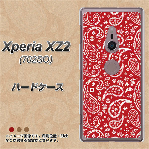 Xperia XZ2 702SO SoftBank 765 ペイズリーエンジ ハードケース 背面印刷