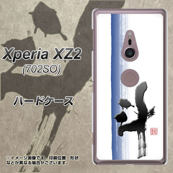 Xperia XZ2 702SO SoftBank OE829 斗 ハードケース 背面印刷