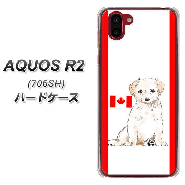 AQUOS R2 706SH SoftBank YD824 ラブラドールレトリバー05 ハードケース 背面印刷