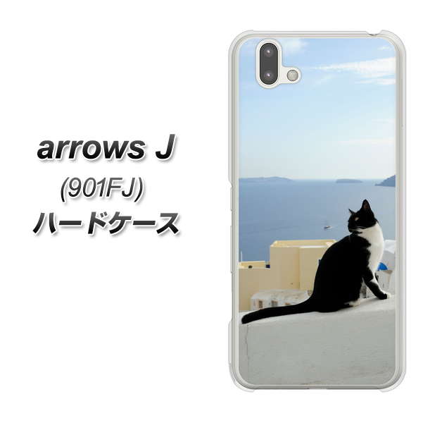 arrows J 901FJ Y!mobile VA805 ネコと地中海 ハードケース 背面印刷