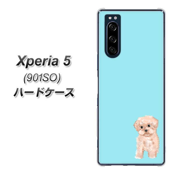 Xperia 5 901SO SoftBank YJ062 トイプードルアプリコット（ブルー） ハードケース 背面印刷