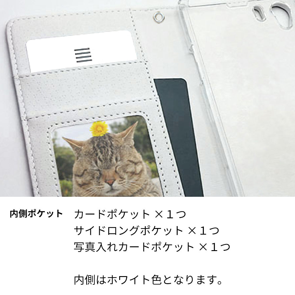 Y!mobile リベロS10 901ZT 高画質仕上げ プリント手帳型ケース(通常型)【YG900 ベンガル01】