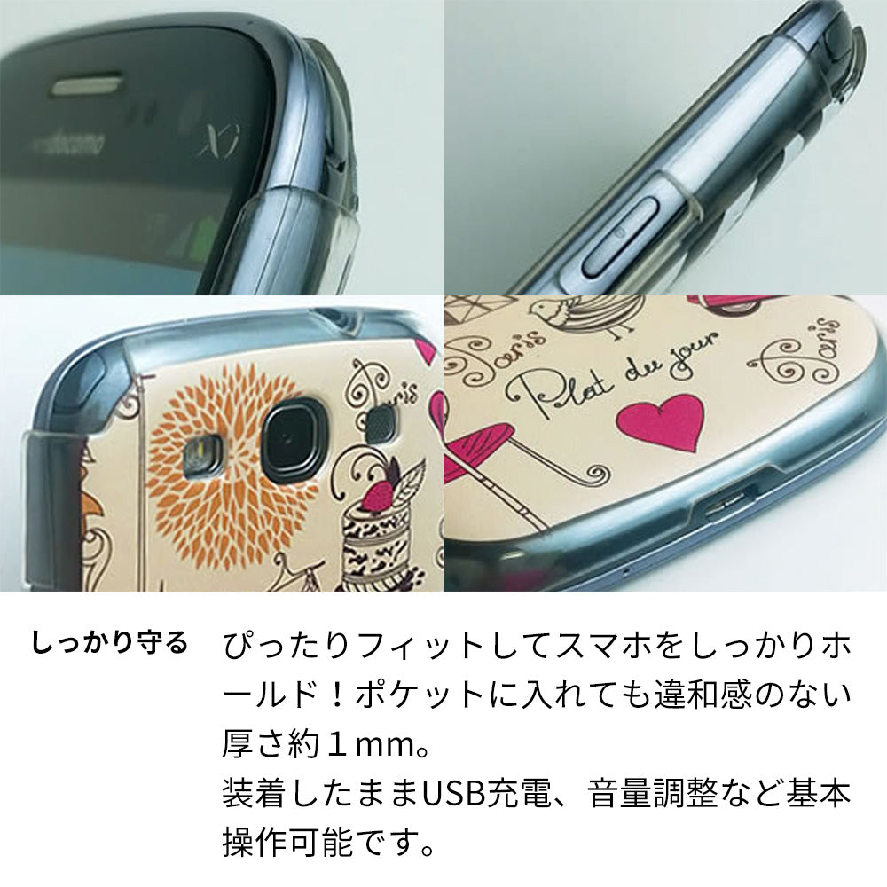 docomo エクスペリアA（エース）SO-04E 高画質仕上げ 背面印刷 ハードケース【659 アメリカ】