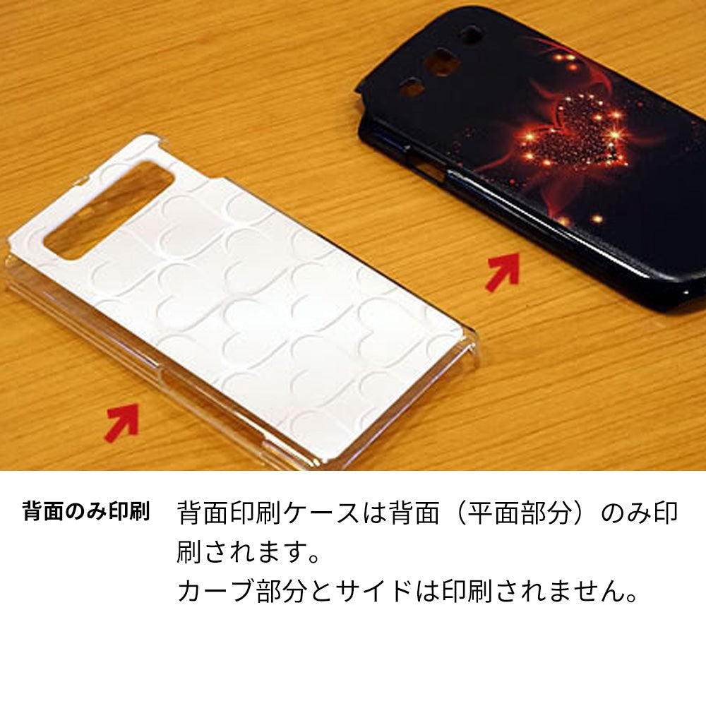 SIMフリー アクオスR6 SH-M22 高画質仕上げ 背面印刷 ハードケース【OE845 喝！】