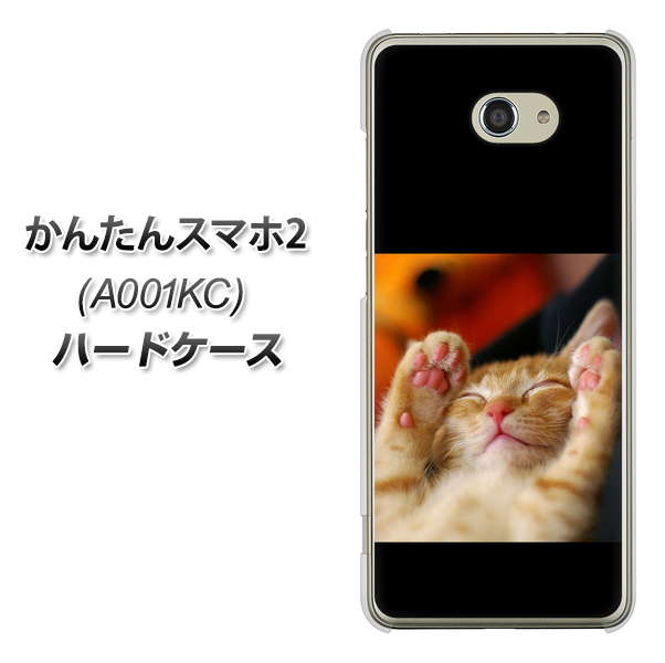 かんたんスマホ2 A001KC Y!mobile VA804 爆睡するネコ ハードケース 背面印刷
