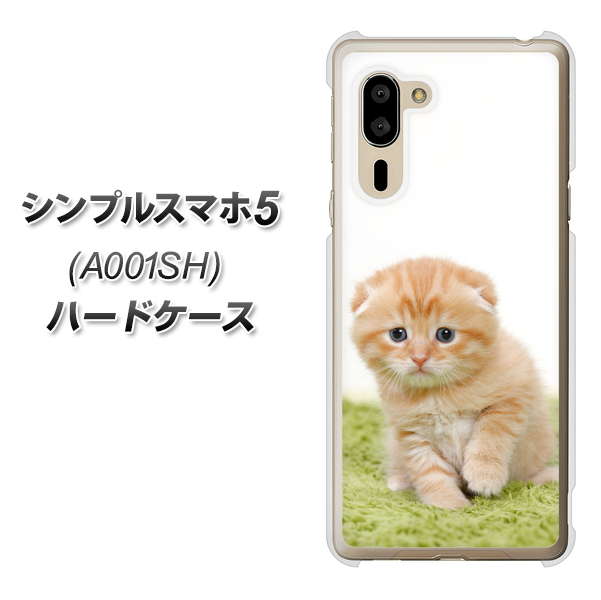 シンプルスマホ5 A001SH SoftBank VA802 ネコこっそり ハードケース 背面印刷