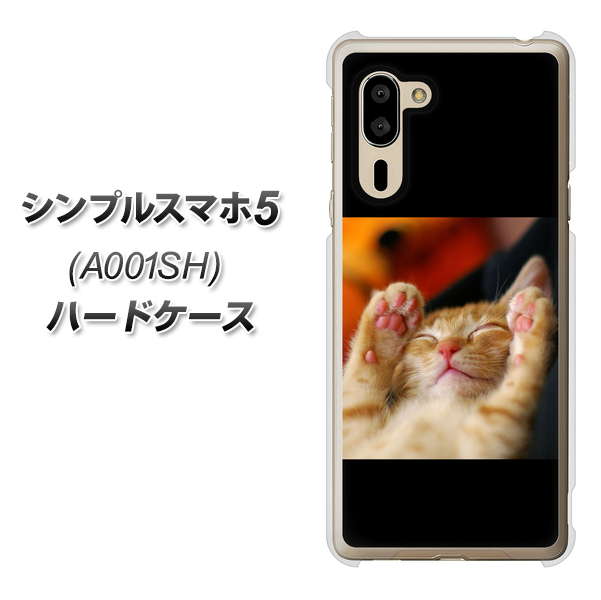 シンプルスマホ5 A001SH SoftBank VA804 爆睡するネコ ハードケース 背面印刷