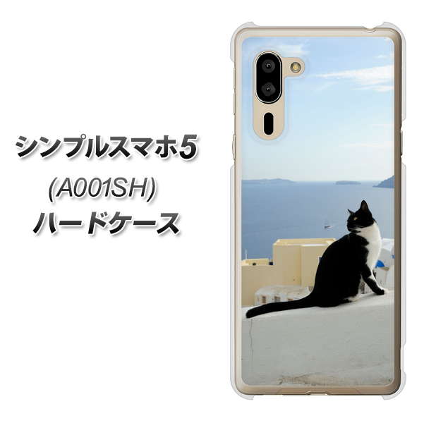 シンプルスマホ5 A001SH SoftBank VA805 ネコと地中海 ハードケース 背面印刷