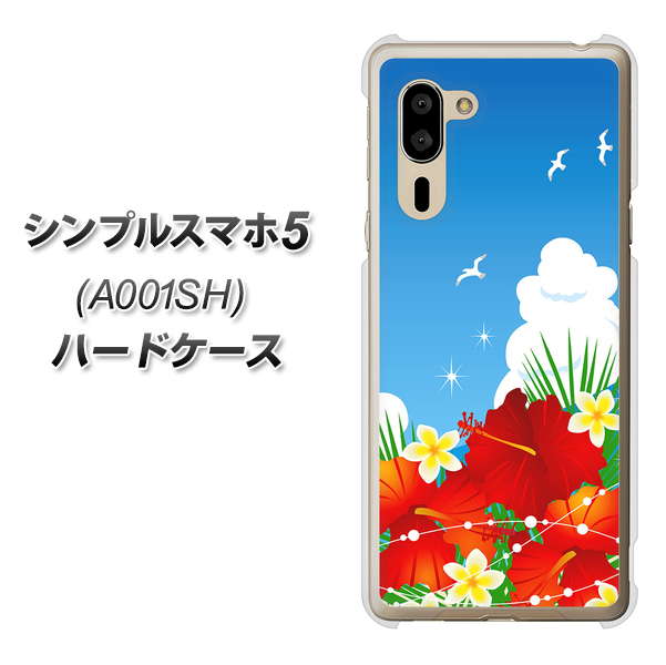 シンプルスマホ5 A001SH SoftBank VA821 ハイビスカスと青空 ハードケース 背面印刷