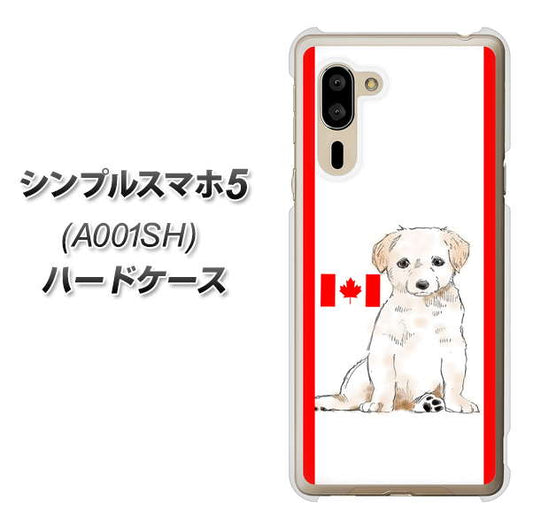 シンプルスマホ5 A001SH SoftBank YD824 ラブラドールレトリバー05 ハードケース 背面印刷