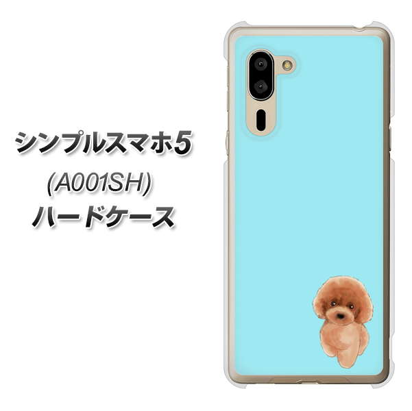 シンプルスマホ5 A001SH SoftBank YJ050 トイプードルレッド（ブルー） ハードケース 背面印刷