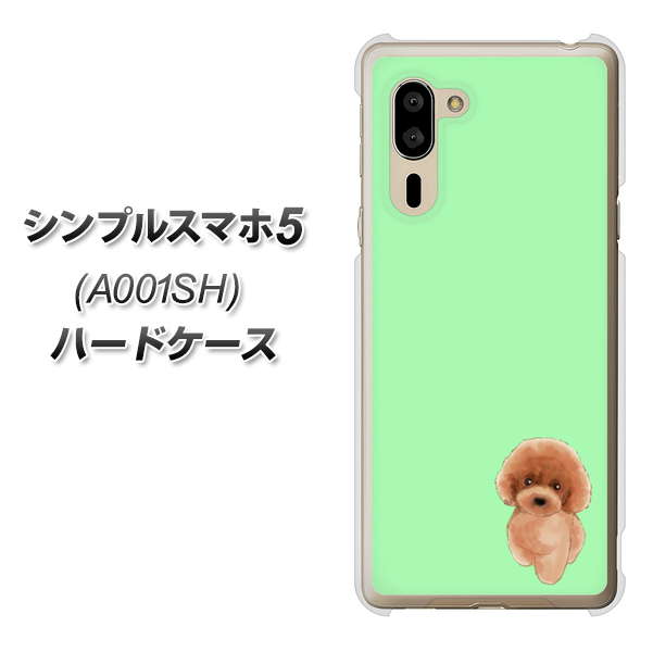シンプルスマホ5 A001SH SoftBank YJ052 トイプードルレッド（ グリーン） ハードケース 背面印刷