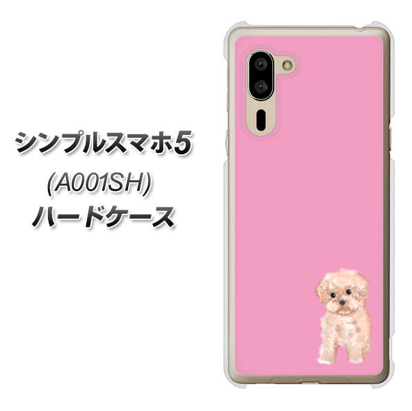 シンプルスマホ5 A001SH SoftBank YJ061 トイプードルアプリコット（ピンク） ハードケース 背面印刷