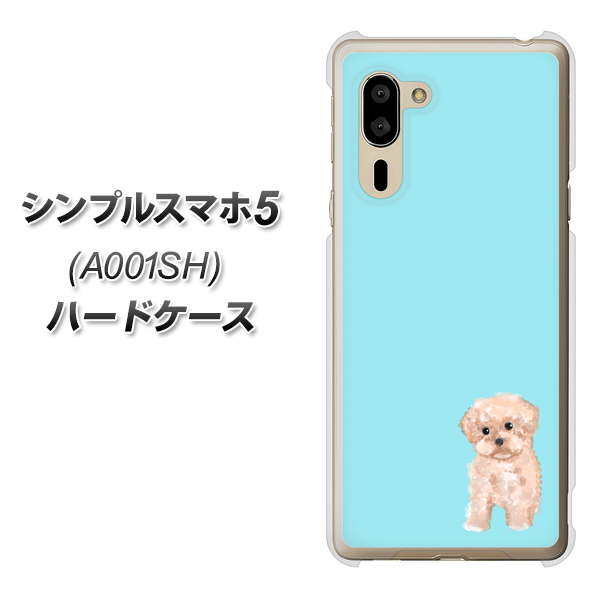 シンプルスマホ5 A001SH SoftBank YJ062 トイプードルアプリコット（ブルー） ハードケース 背面印刷