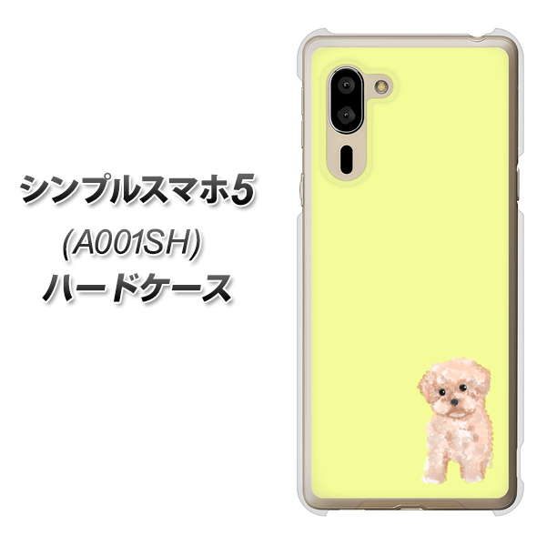 シンプルスマホ5 A001SH SoftBank YJ064 トイプードルアプリコット（イエロー） ハードケース 背面印刷