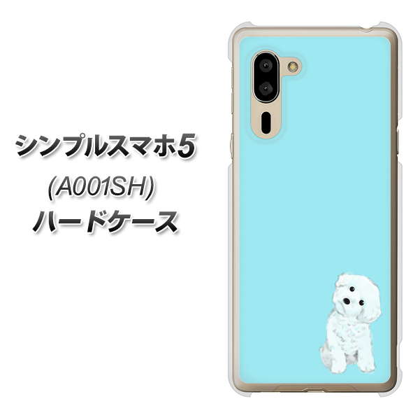 シンプルスマホ5 A001SH SoftBank YJ070 トイプードルホワイト（ブルー） ハードケース 背面印刷