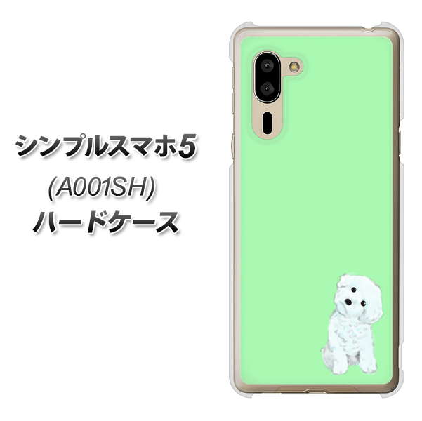 シンプルスマホ5 A001SH SoftBank YJ071 トイプードルホワイト（グリーン） ハードケース 背面印刷