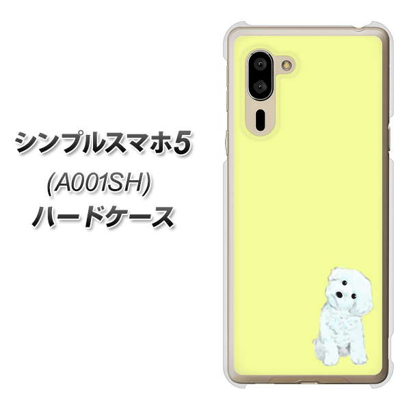 シンプルスマホ5 A001SH SoftBank YJ072 トイプードルホワイト（イエロー） ハードケース 背面印刷