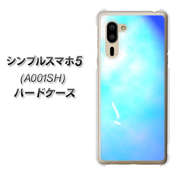 シンプルスマホ5 A001SH SoftBank YJ291 デザイン 光 ハードケース 背面印刷