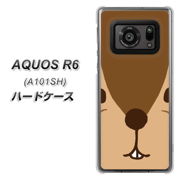 AQUOS R6 A101SH SoftBank 349 りす ハードケース 背面印刷